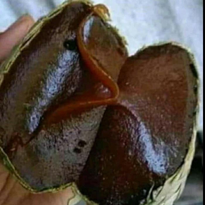 cemilan dodol sidempuan rasa original 4 sumpit ( ± 1 kg) pulut asli