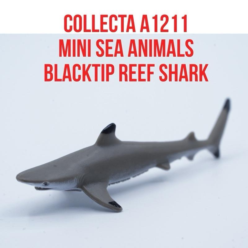 Collecta A1212 Mini Sea Animals | BlackTip Reef Shark Ikan Hiu Karang Sirip Hitam Carcharhinus melan