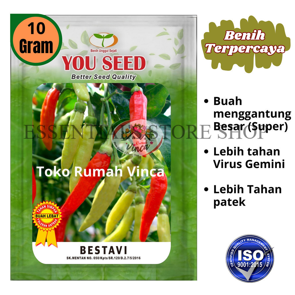 Benih Bibit Biji Cabe Rawit Setan Tipe Halbaru BESTAVI 10g Cap You Seed Tahan Virus ESSENTIALS STORE
