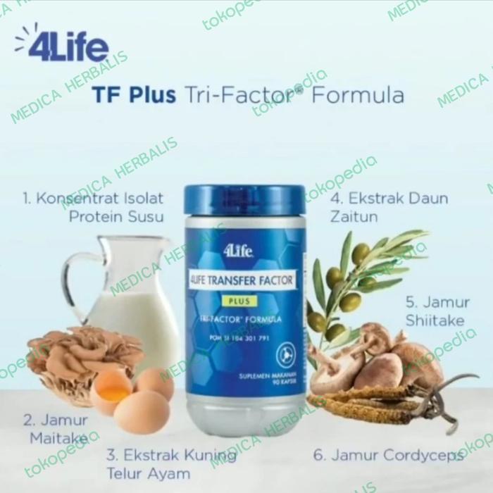 Ecer 30 kapsul 4LIFE TRF FACTOR PLUS TRI FORMULA - 4LIFE IMUN TUBUH