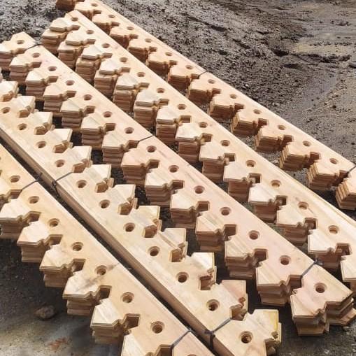 LISPLANG GIGI BALANG BETAWI