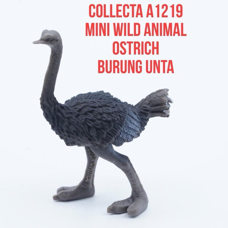 Collecta A1219 Mini Wild Animals | OSTRICH Burung Unta Struthio Canelus | Small Size Ukuran Kecil | 