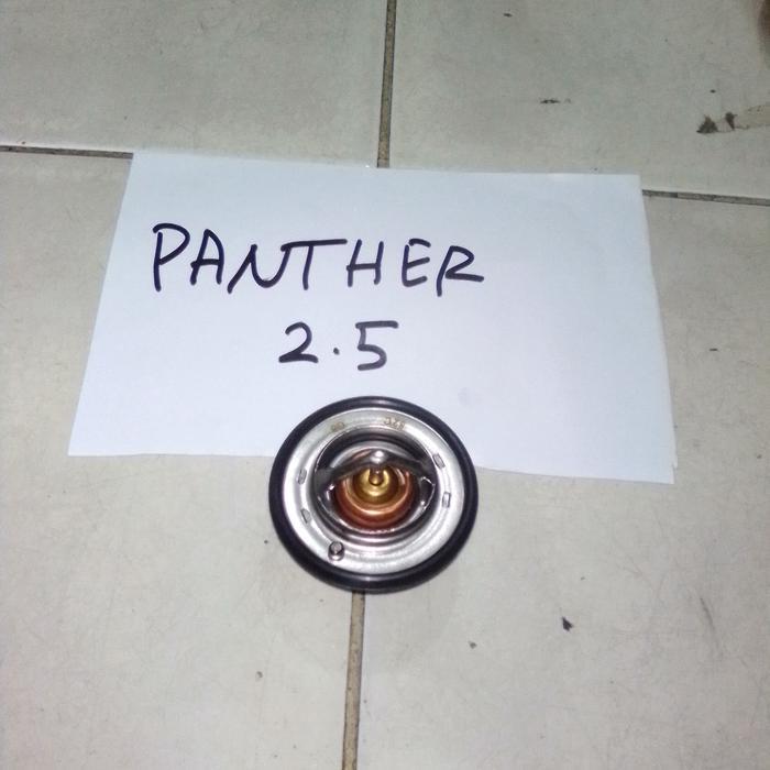 Thermostat panther 2.5 best
