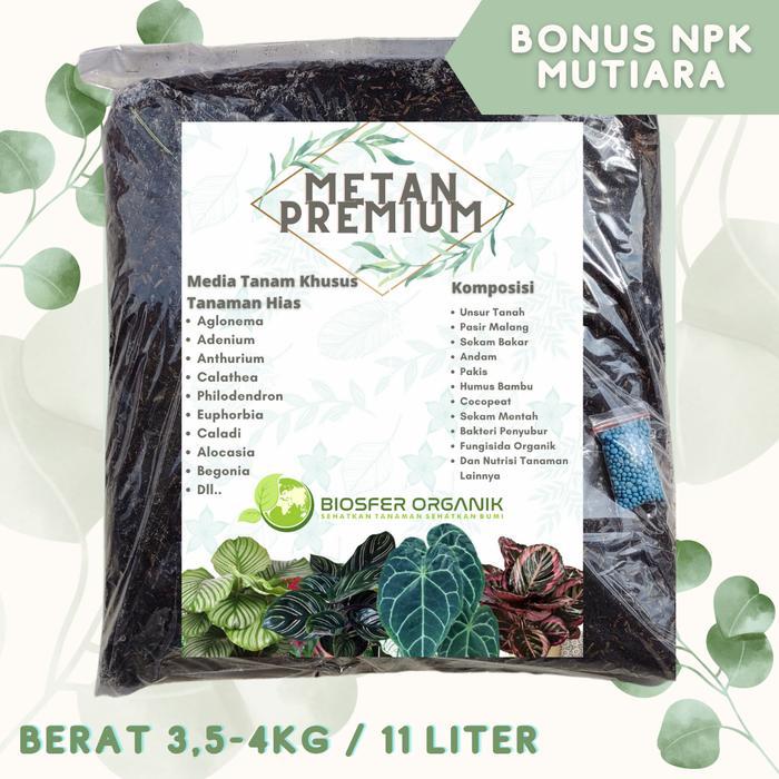 media tanam Aglonema & tanaman hias organik SUPER - Biosfer Premium