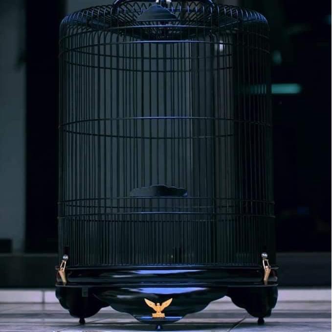 SANGKAR KANDANG MURAI RADJA BLACK JACK