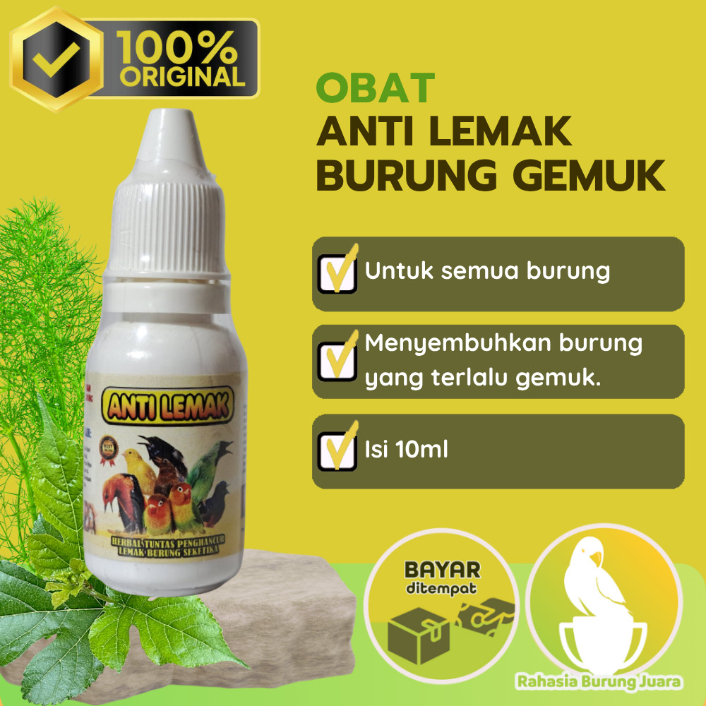 Bantu Lemak Burung 10ml Herbal Penghancur Lemak Burung Gemuk Murai Kacer Lovebird Vitamin Burung