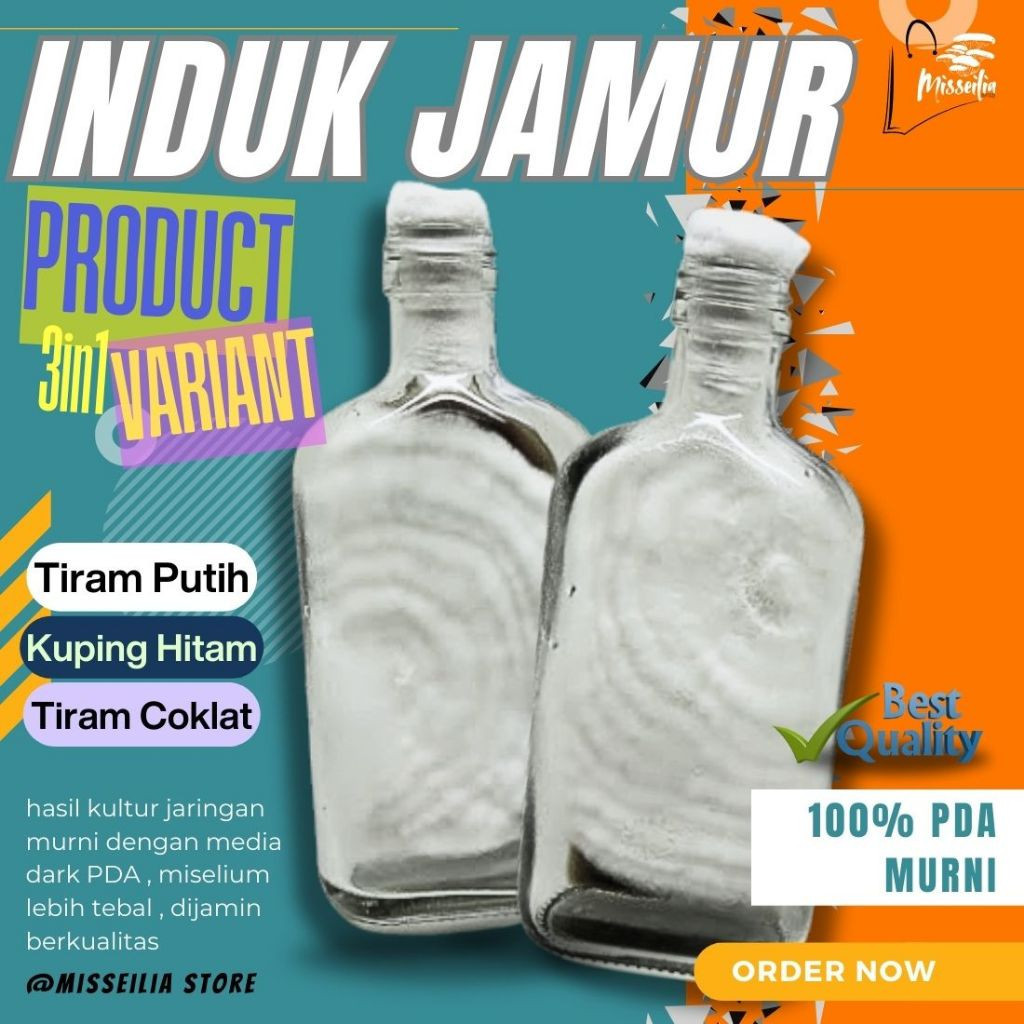 Bibit Jamur F0 Variasi Produk Jamur Tiram Coklat Putih Kuping Berkualitas PDA Kultur Jaringan Murni