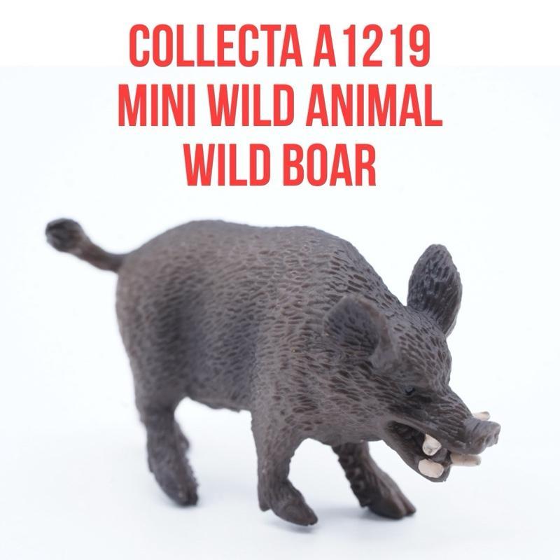 Collecta A1219 Mini Wild Animals | Wild Boar Babirusa Babi Hutan Celeng Sus Scrofa | Small Size Ukur