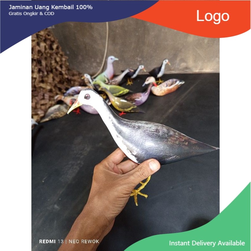 JONTROT RUAK RUAK PIKAT BURUNG BELIBIS PUNAI GOAK HITAM TEKUKUR TIKUSAN ALIS PUTIH TAHAN PENYOK MIRI