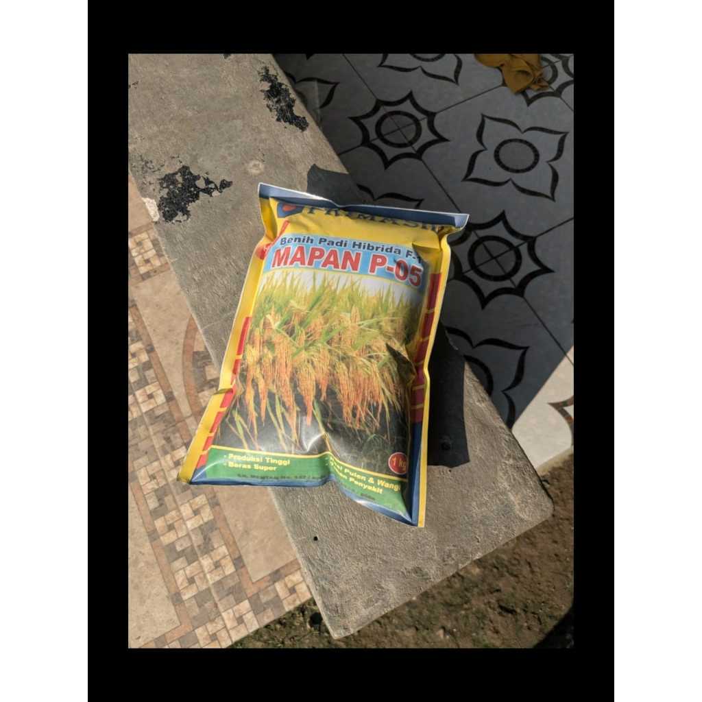 benih padi mapan p-05 p05 asli 2025 original mapan p05 asli