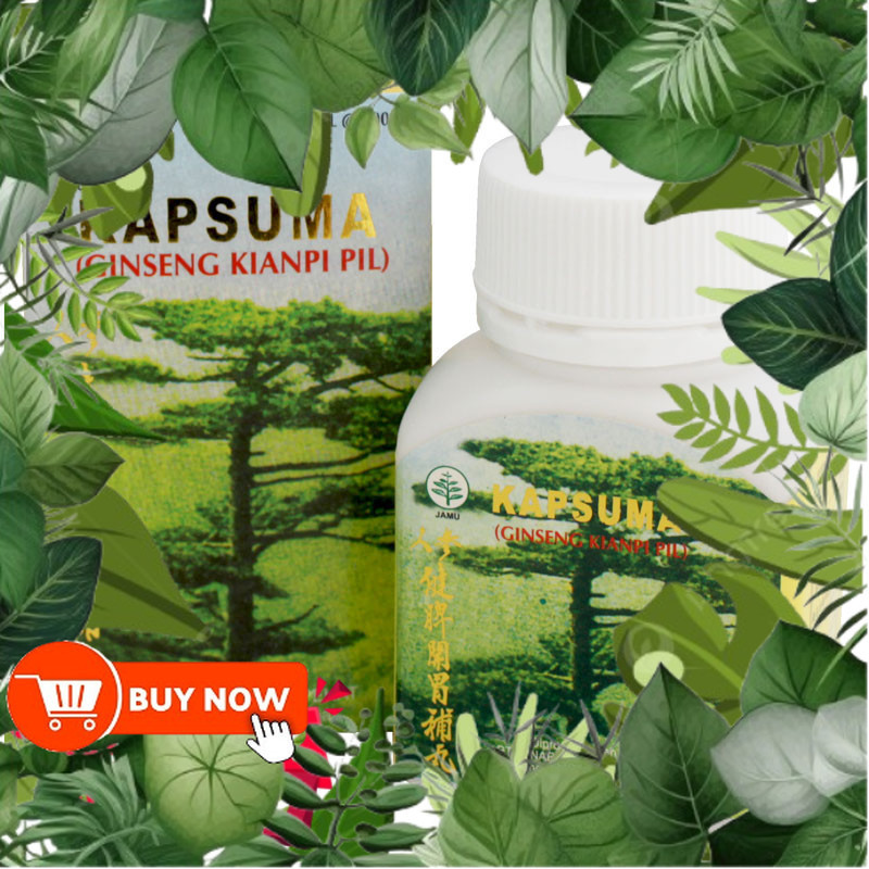 dijual untuk dibeli - BPOM Kapsuma Kianpi Pil Penggemuk Badan Wisdom ASLI Original - Ginseng Kianpi 