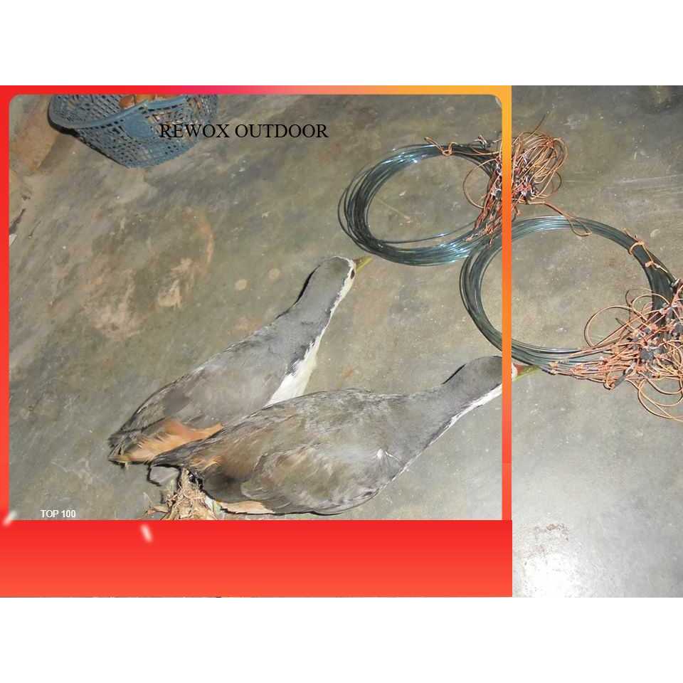 cod BONUS LONCENG 4 METER RACIK GANTUNG RUAK2 RACIK RUAK RACIK KAREO TAPAU RUAK ORIGINAL rewox