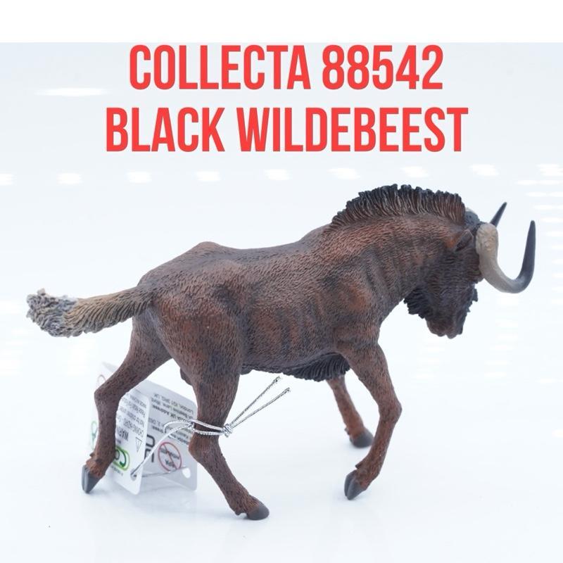 Collecta 88542 | Black Wildebeest White Tailed Gnu Ekor Putih Connochaetes Gnou Africa Afrika | Main