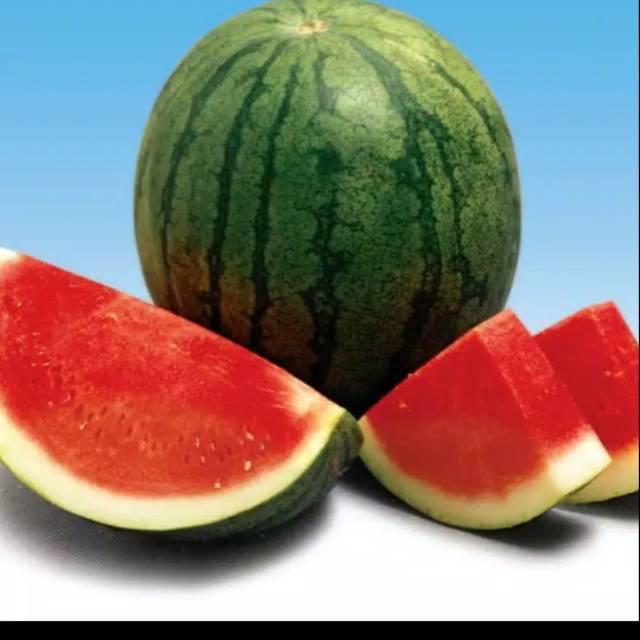 Benih semangka merah made f1 10 biji repack
