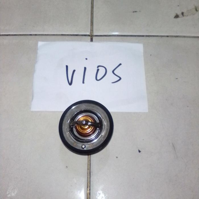 Thermostat Vios best