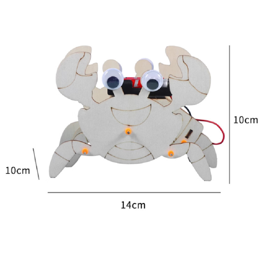 023 DIY - Crab - Proyek Kit Edukatif Sains STEM untuk Anak Eksperimen - Pembelajaran Robotika dengan