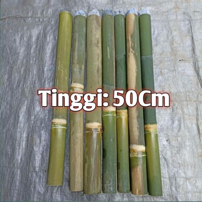 terbaru Bambu Obor/Coleng /Obor Bambu/Bambu Penerangan/Obor Pohon Bambu 50Cm - 50Cm, Obor bambu