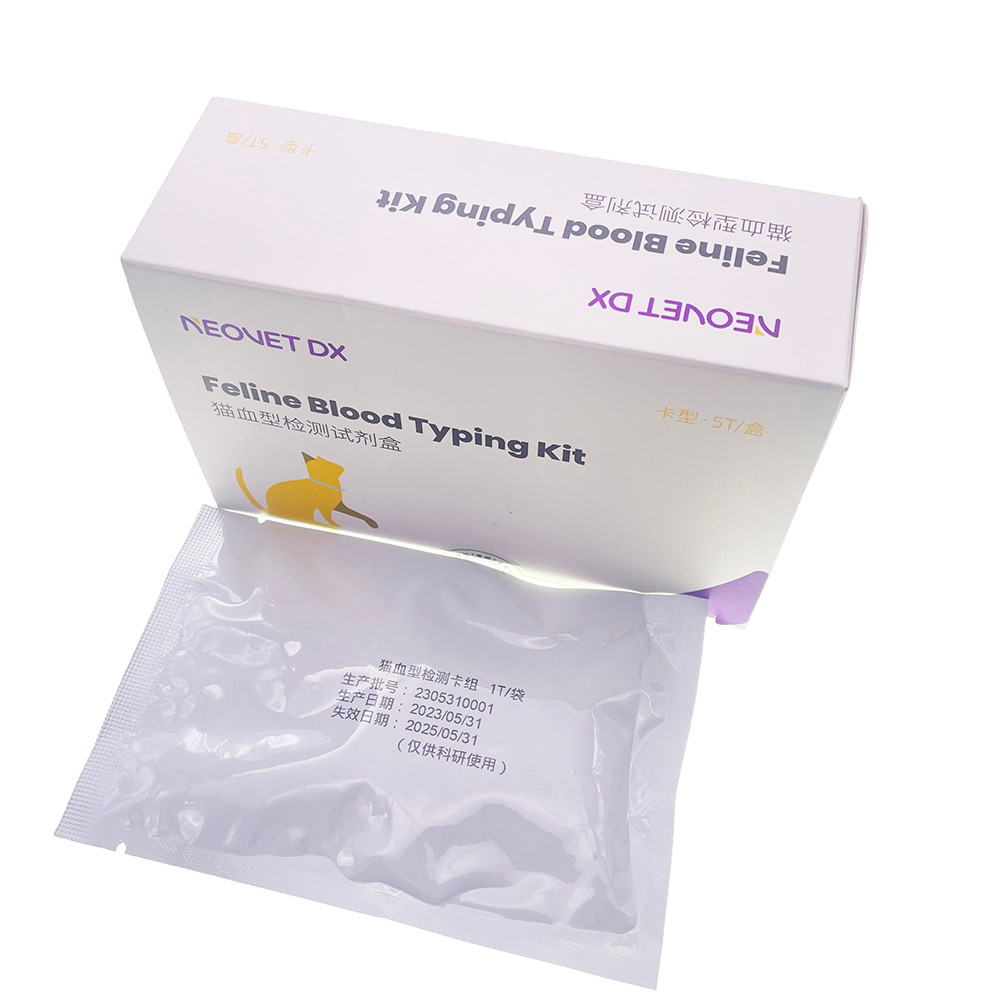 Pet Cat Feline Blood Typing Kit 5StripsBox sposable Raid Test Card For Hemolysis  Anemia Supplies