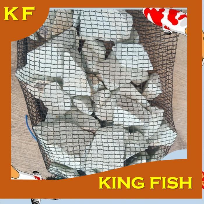 kolam ikan media filter batu zeolite besar plus jaring uk 1 kg