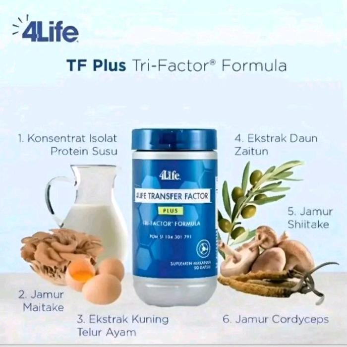 Ecer 30 kapsul 4life Plus - 4life Transfer Factor Plus Isi 90 Capsule