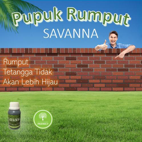 Pupuk Rumput Organik Alami, Rumput Gajah, Rumput Gajah Mini, Penyubur Tanah SAVANNA 100 ml
