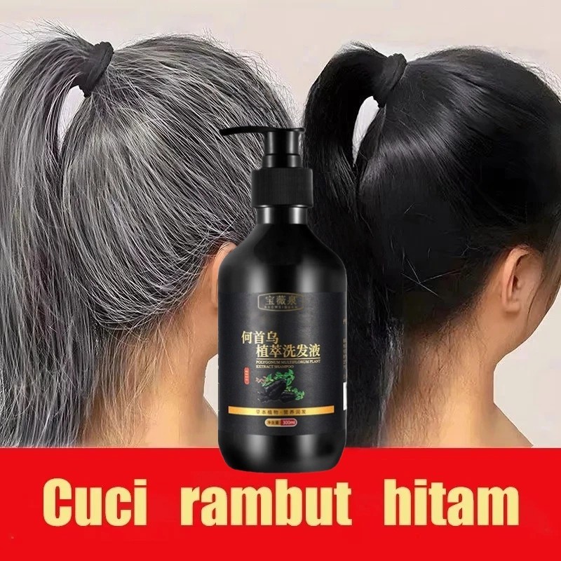 Shampo Penghilang Uban Permanen Penghitam Black Herbal Natural Polygonum Multiflorum Anti Ketombe An