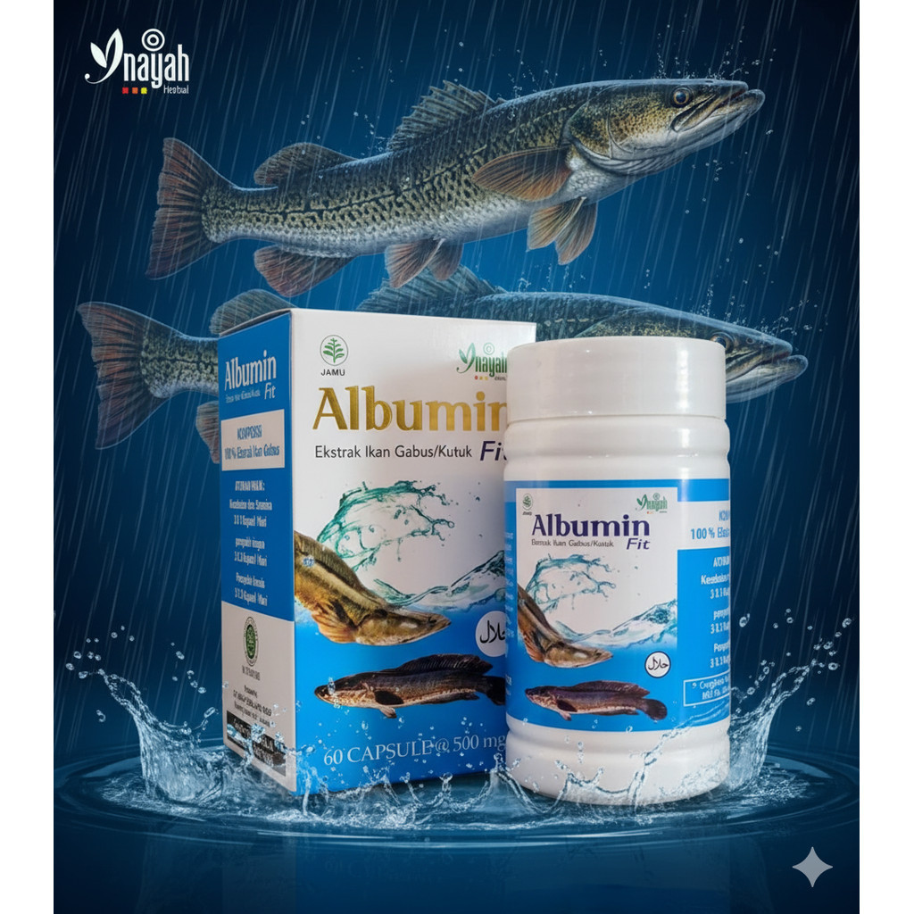 Albumin Fit Kapsul Ekstrak Ikan Gabus 60x500mg || Albumin Fit Obat Pasca Operasi Ekstrak Ikan Gabus 