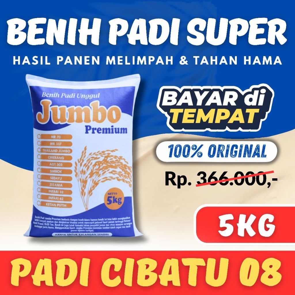 Benih padi Bibit Padi Cibatu 08 kemasan 5kg