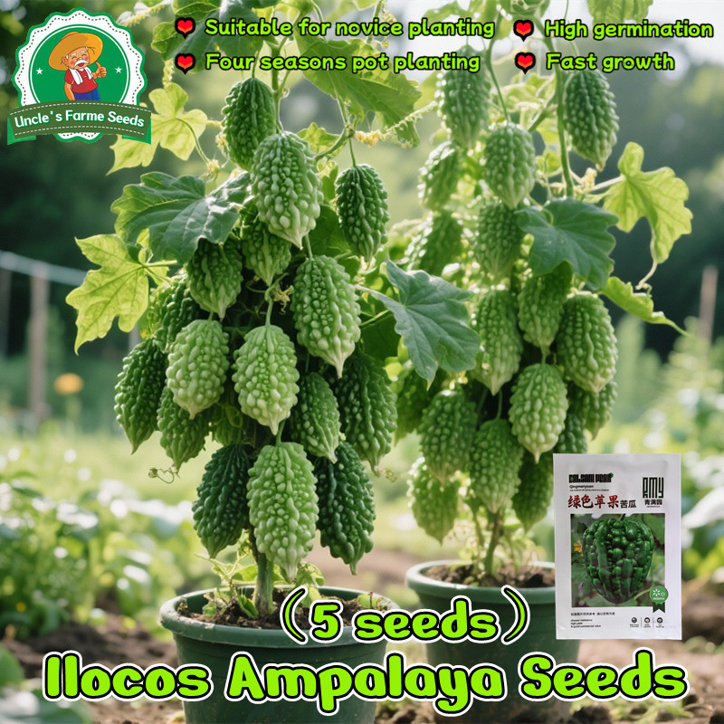 isi Perkemasan 20 Butir Benih Pare Pilihan benih pare berkualitas benih murah benih tanaman sayur pa