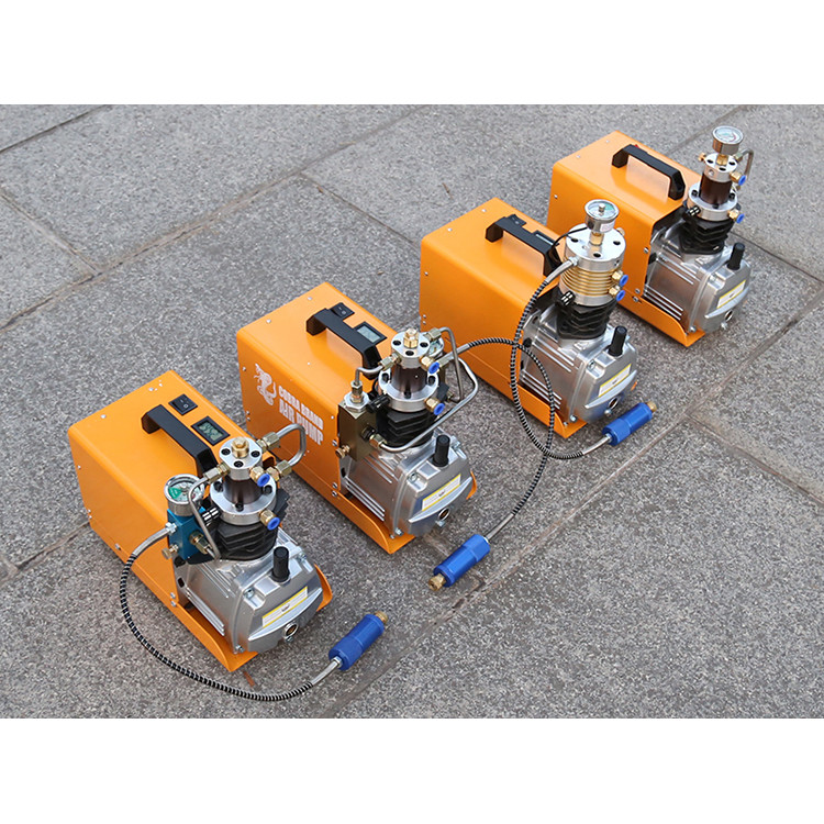 4500Psi 300Bar 30MPA  220V 110V Pcp Air Compressor Electric High Pressure Pump for Pneumatic PCP Rif