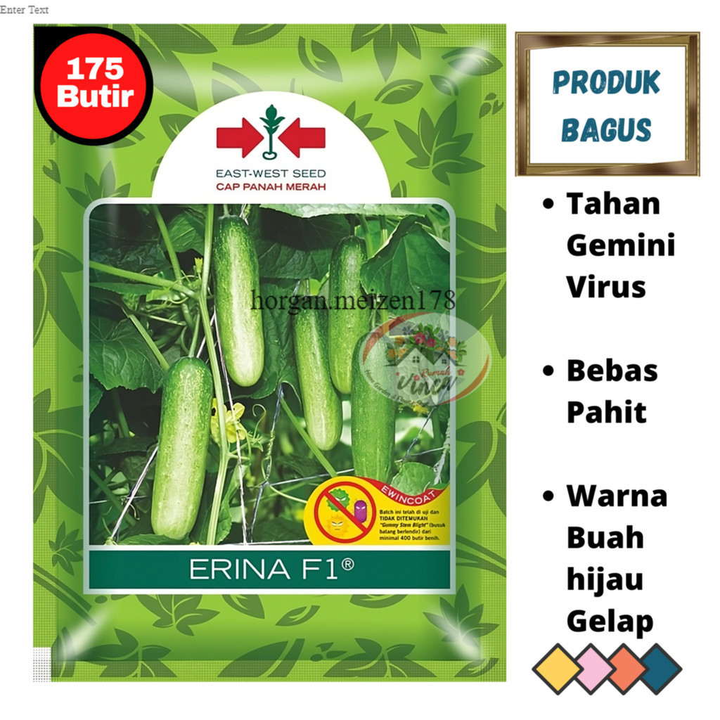 BENIH BIBIT TIMUN BABY ERINA F1 175 butir  Timun Lalap CAP PANAH MERAH horgan.meizen178