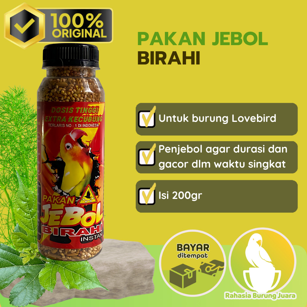 Pakan Jebol Birahi Pakan konslet untuk jebol birahi Dosis tinggi