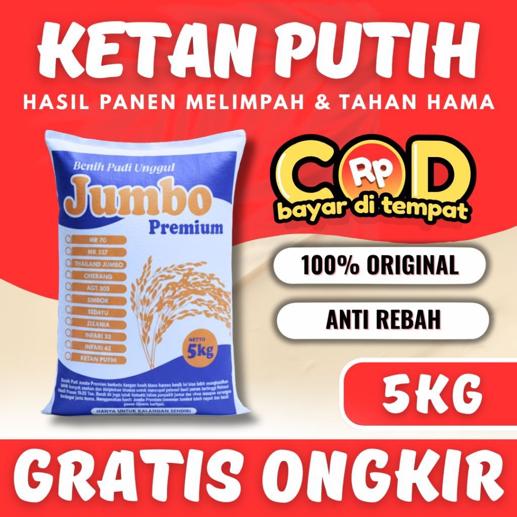 SANGHYANG SRI- Bibit Padi Unggul KETAN PUTIH Kemasan 5kg