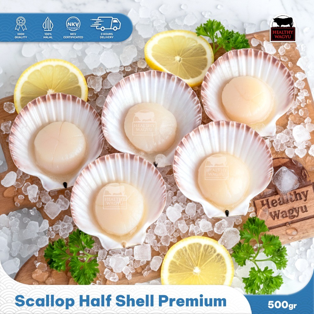 Alaska Scallop Half Shell Frozen Kerang Simping Premium 40/50 500gr Healthy Wagyu