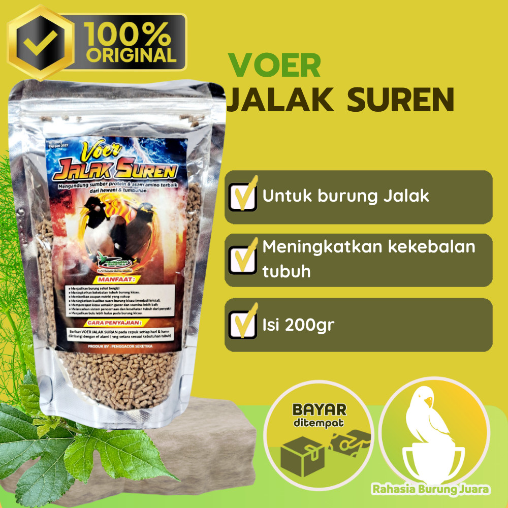 Voer Pakan Jalak Suren Penggacor Burung Makanan pakan burung jalak suren