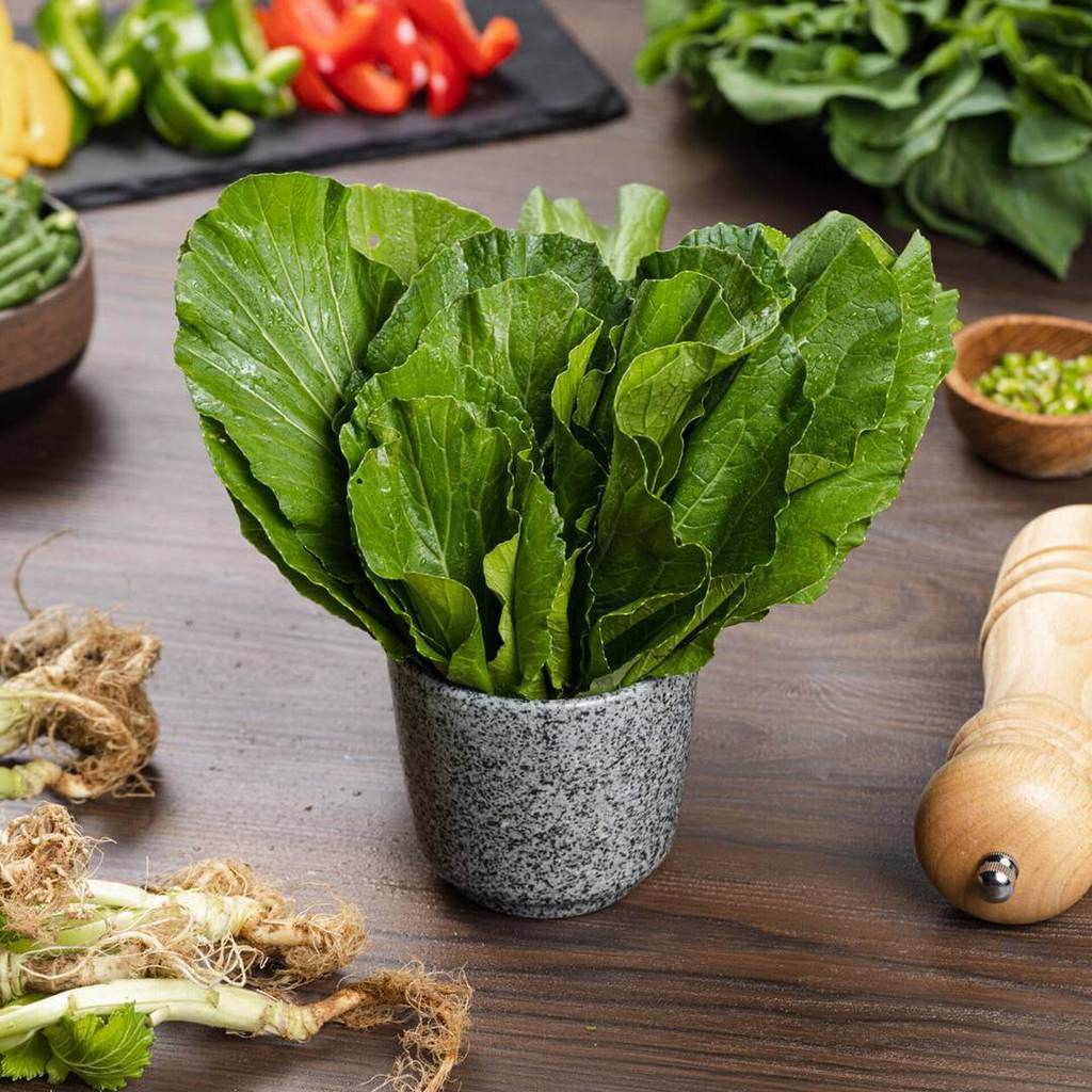 Sawi Hijau Organik  (250 gram / pack)