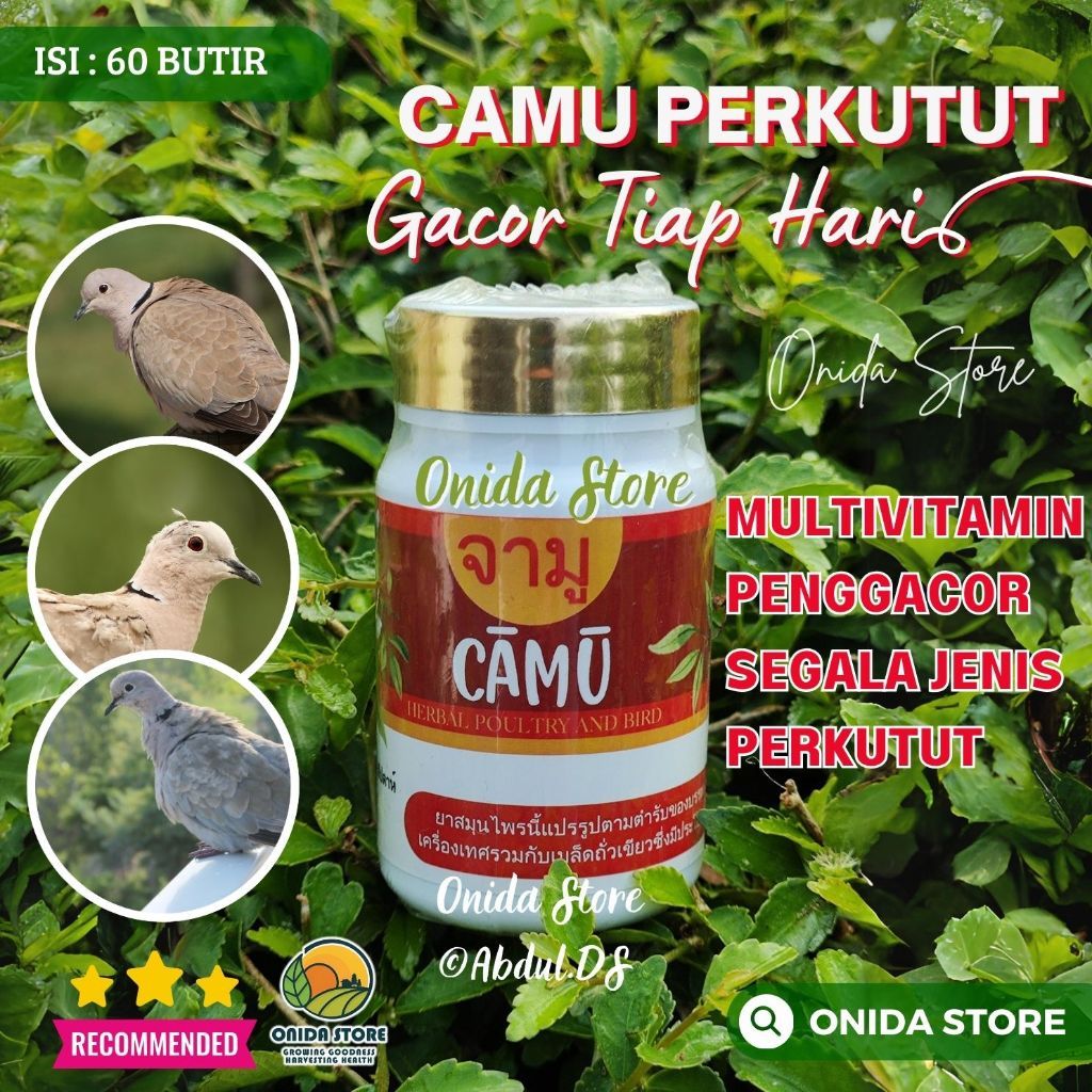 [ Promo ] || CAMU PIL PERKUTUT GACOR MANGGUNG / Jamu perkutut / Pil Manjur / Pil Ajaib / Bangkok / K