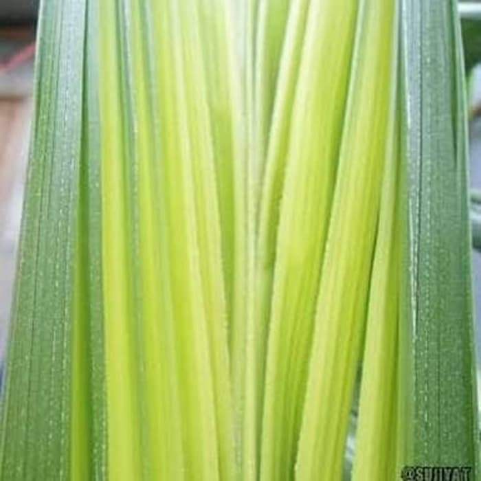 Daun janur kelapa - Asli untuk ketupat