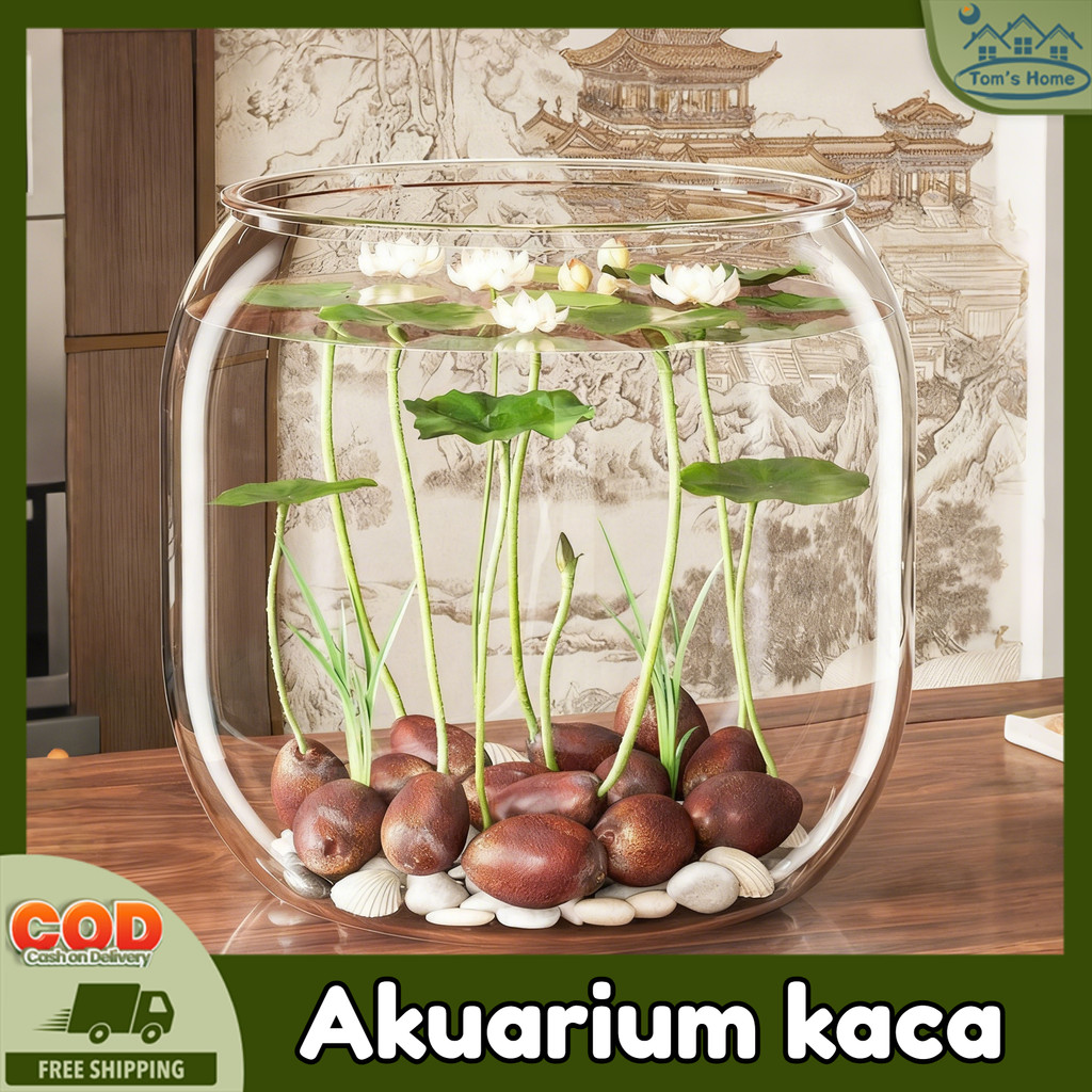 Toples Aquarium Ikan Hias Aquarium Bulat Aquarium Toples Bulat Fish Bowl Design Wadah Tanaman Hias H