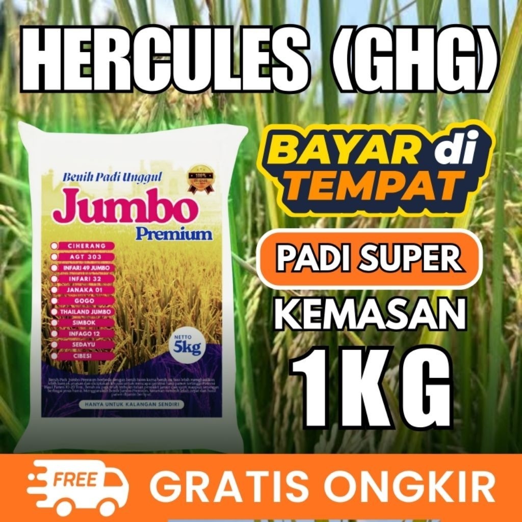 BENIH PADI HERKULES ( GHG ) KEMASAN 1KG