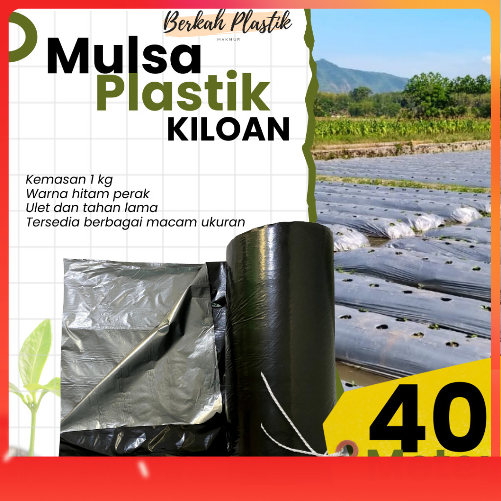 Mulsa Plastik Hitam Perak Panjang 40 Meter Ukuran 120 CM 100 CM 80 CM