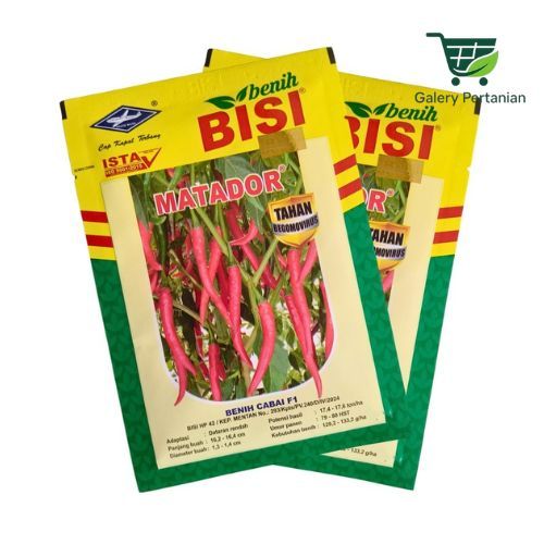 Benih Cabe Besar Matador F1 10gr BISI Cap Kapal Terbang Buah Lurus Besar Merah