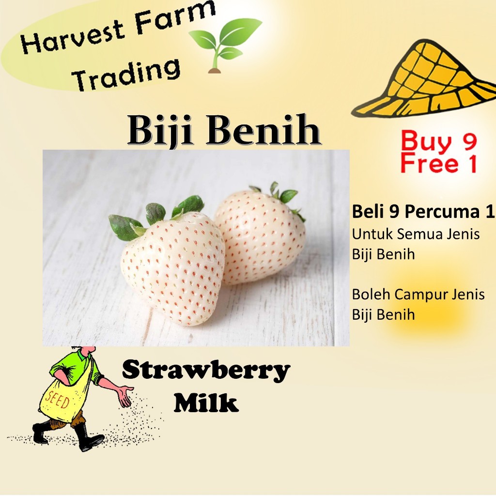 Biji benih strawberry susu 100pcs+- white strawberry seeds benih buah strawberry putih