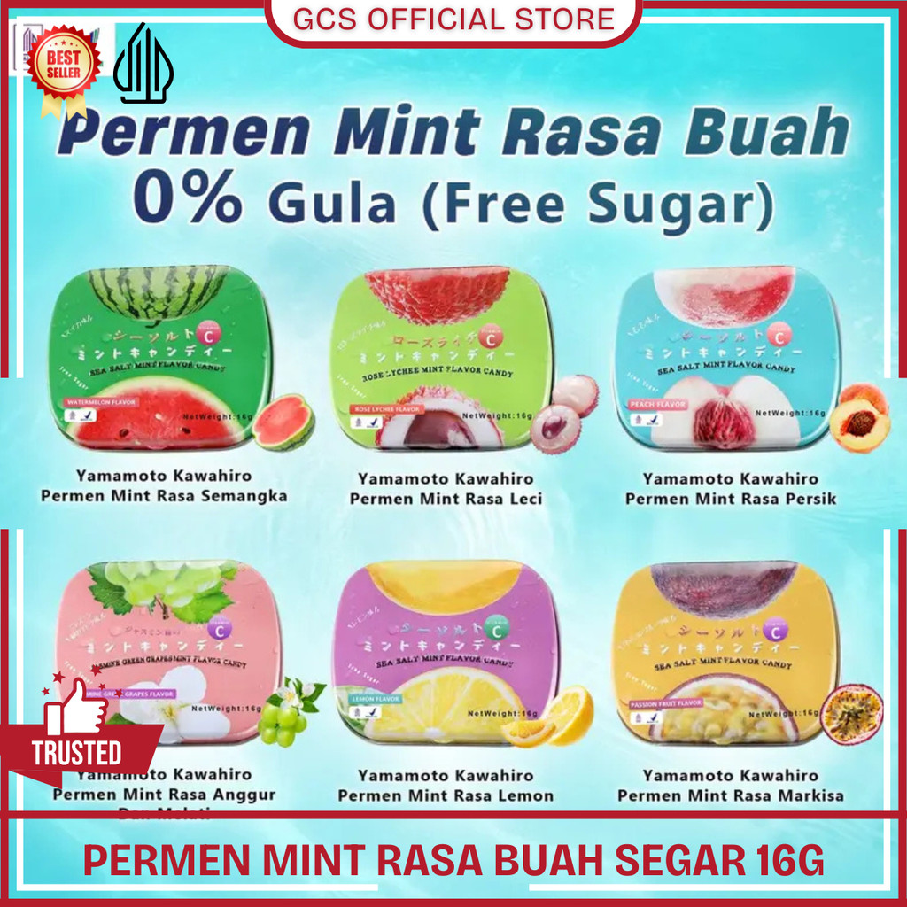 Permen Viral Mint Kaleng Yamamoto 16g Aneka Rasa Buah Sea Salt Candy Import China Halal