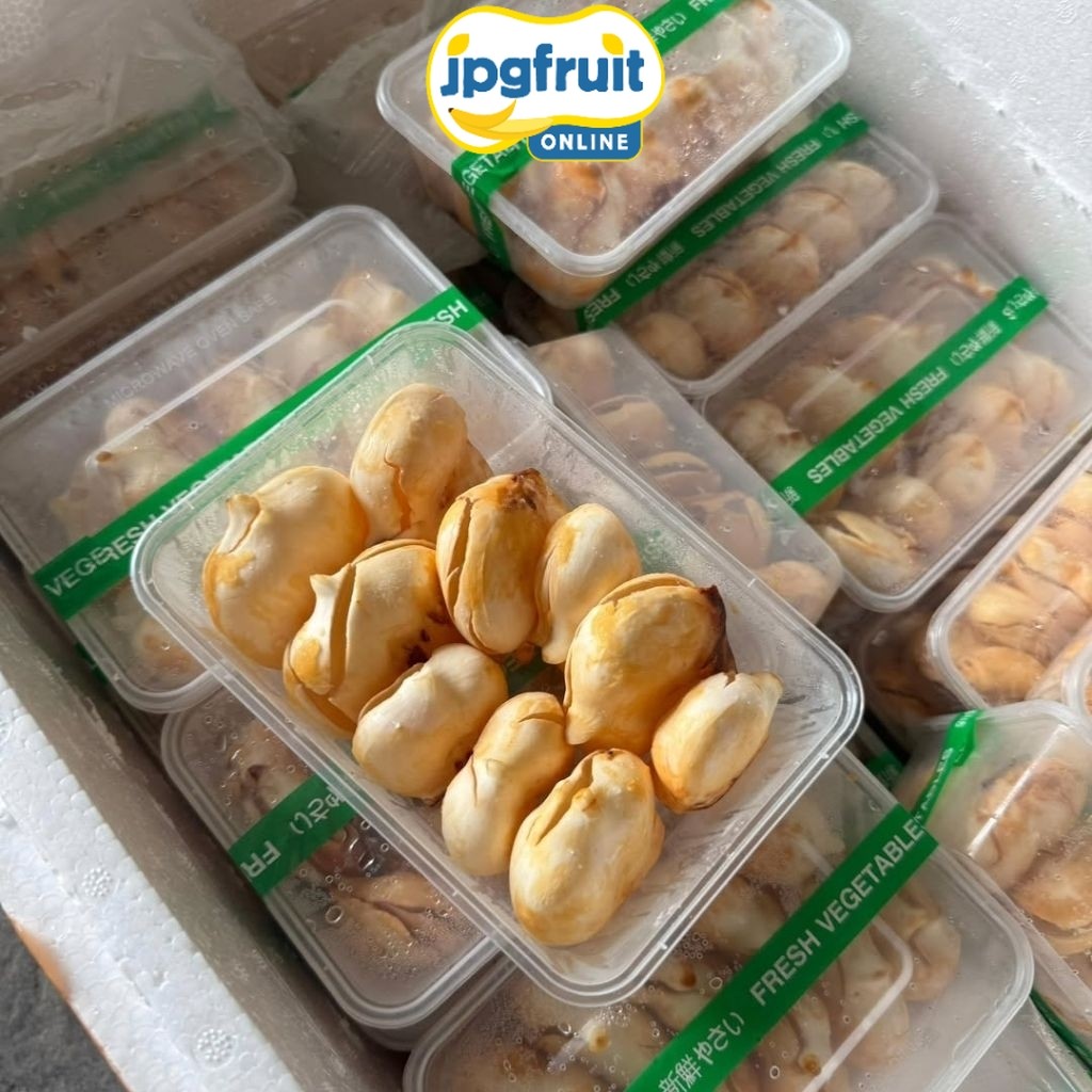 [Instant] buah lontar segar | buah legend | siwalan fresh Sameday/Buah Lokal/Buah Import/JPGFruit
