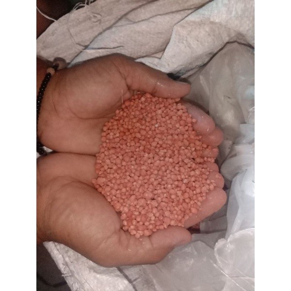 Pupuk NPK Phonksa 1 Kg Untuk Daun Batang Buah