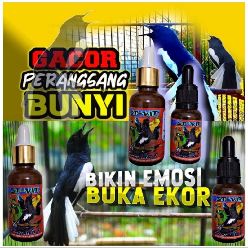 ST VIT Vitamin Penggacor segala jenis burung kicau paling ampuh dalam waktu singkat Nagata juara nut
