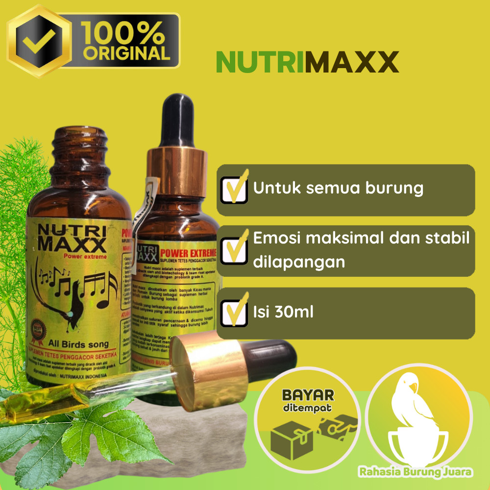 Nutrimaxx Power Extreme Vitamin Burung Penggacor Burung Kicau dengan probiotik grade A aktif