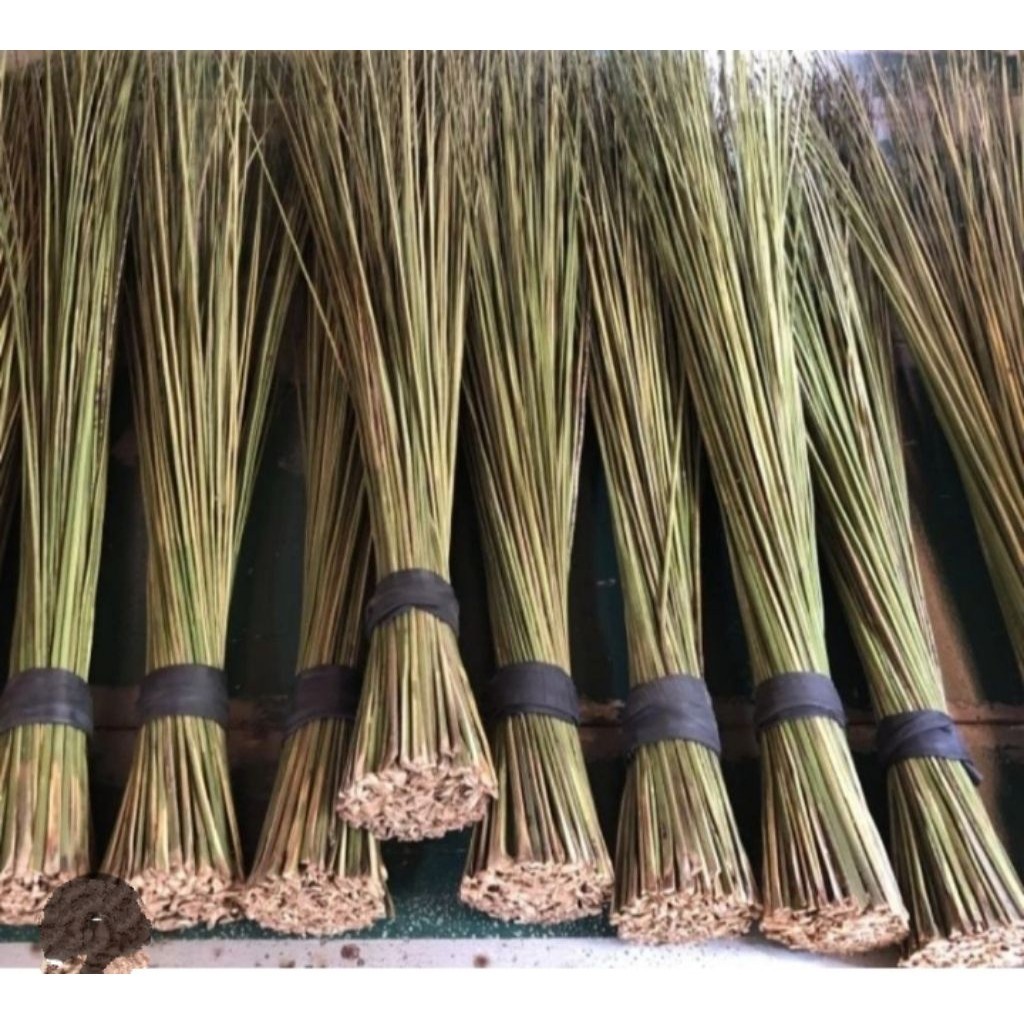 Sapu lidi asli / sapu lidi aren kawung asli kuat / sapu halaman "