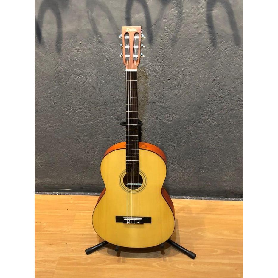 Gitar Akustik DELTA DN 100